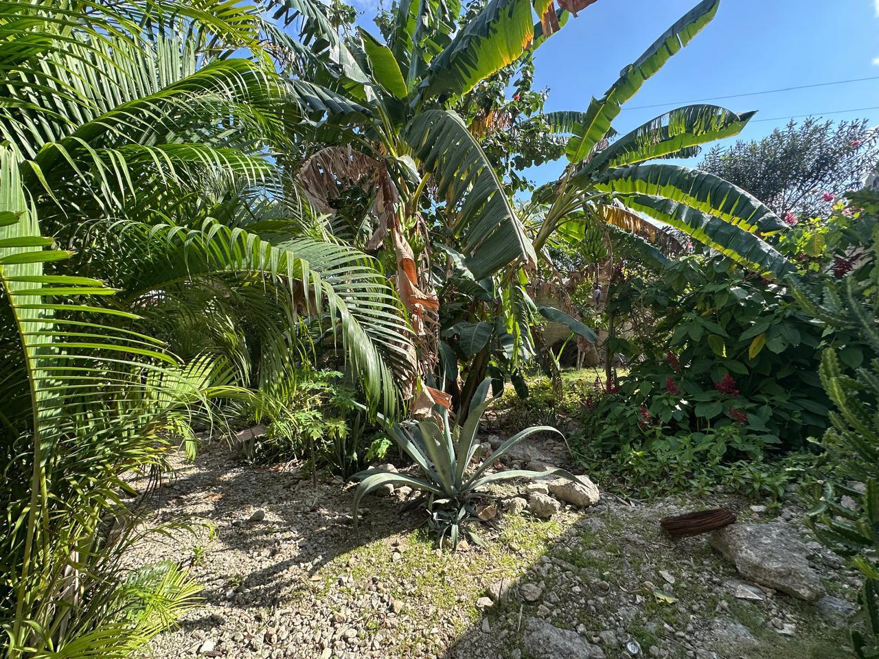 Terreno en Venta en Esquina – 284.5 m² en Privada sobre Av. Huaycán, Cancún