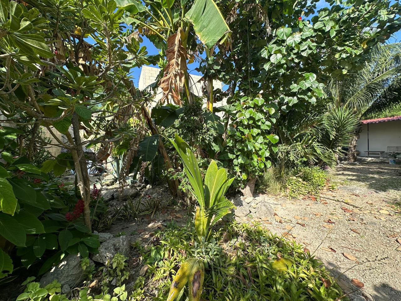 Terreno en Venta en Esquina – 284.5 m² en Privada sobre Av. Huaycán, Cancún